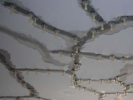 ���c��ˮ̎��