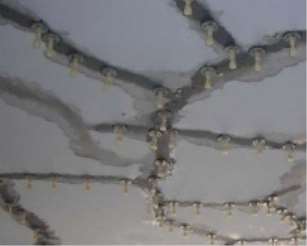 ���c��ˮ���̵Č�(sh��)��Ҫע��ʲô