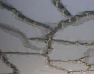 ���c��ˮҪ�_(d��)�����g(sh��)ʩ����(bi��o)��(zh��n)