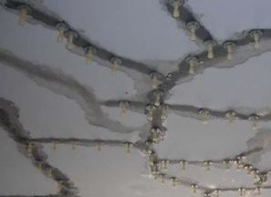 ������ð��c��ˮ��_(t��i)�Ĺ���