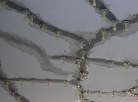 ��픷�ˮ��Ҫע���@Щ